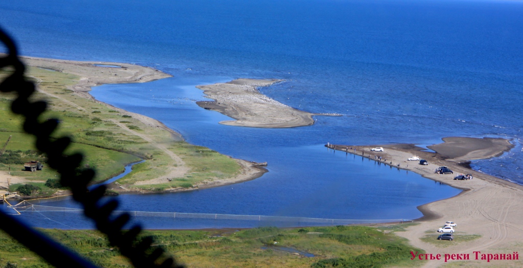 Устье р.Таранай