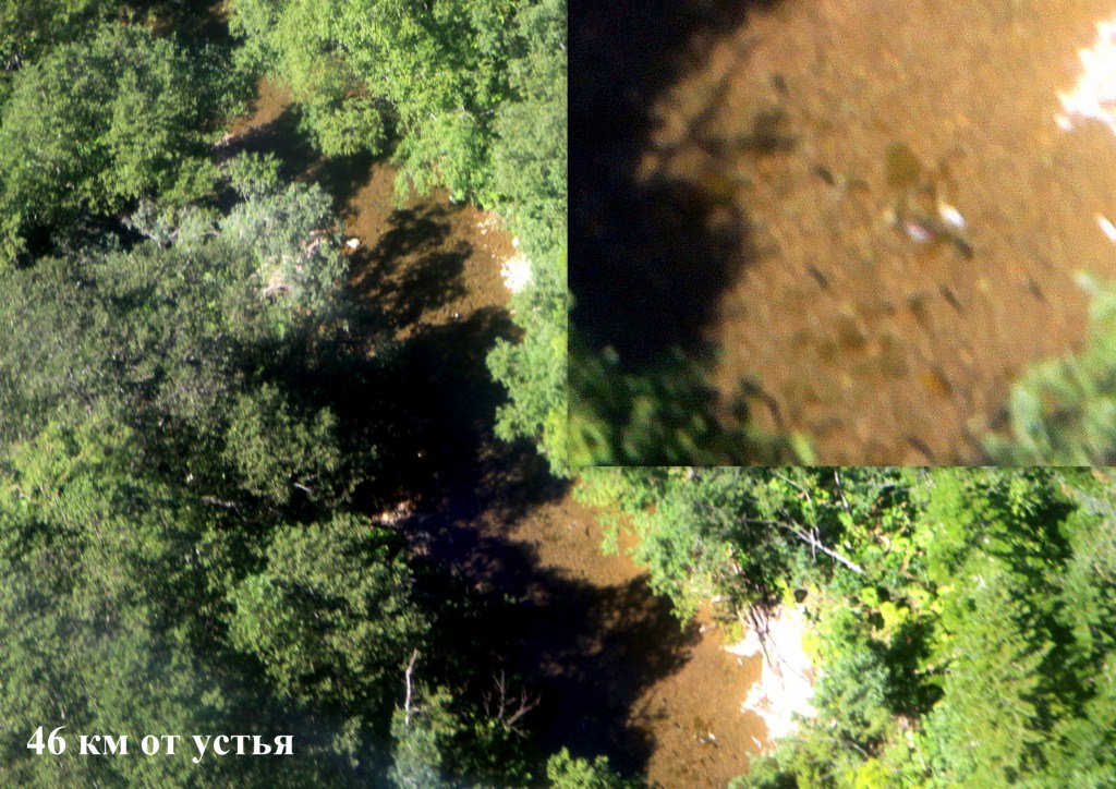 46 км от устья (2)